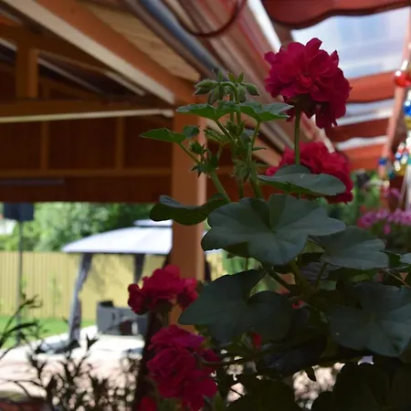 Hajnalsugar Apartman * Hajdúszoboszló